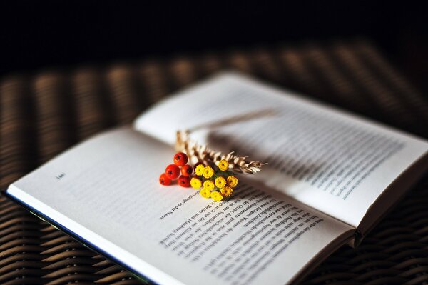 Fiori e spighetta sulla pagina aperta del libro