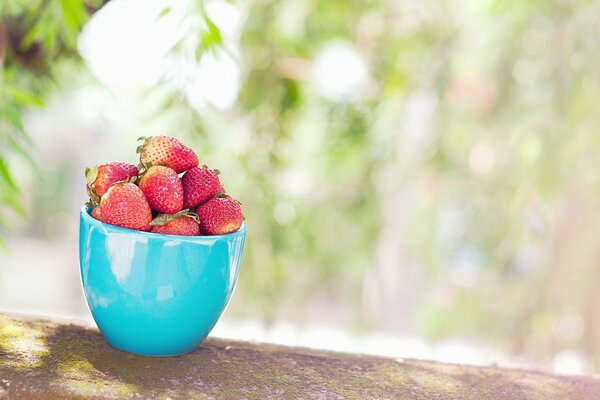 Fragola rossa in tazza blu