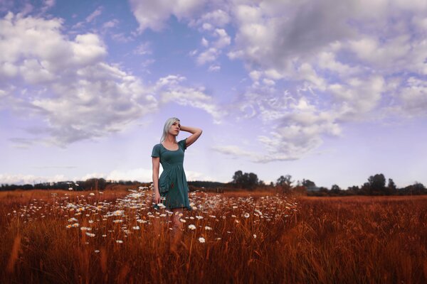A girl in a dress stands in a chamomile field