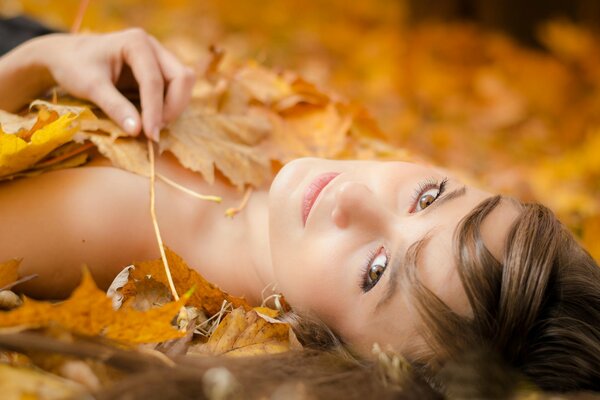 Photoshoot automne fille dans les feuilles