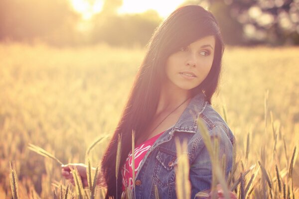 Bruna in campo. Spighe di grano al tramonto
