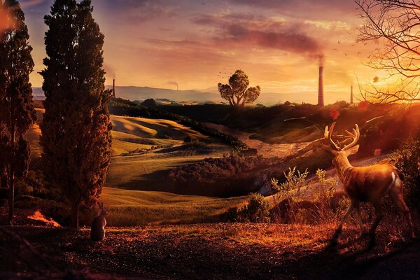 Deer and hare on the background of hills at sunset