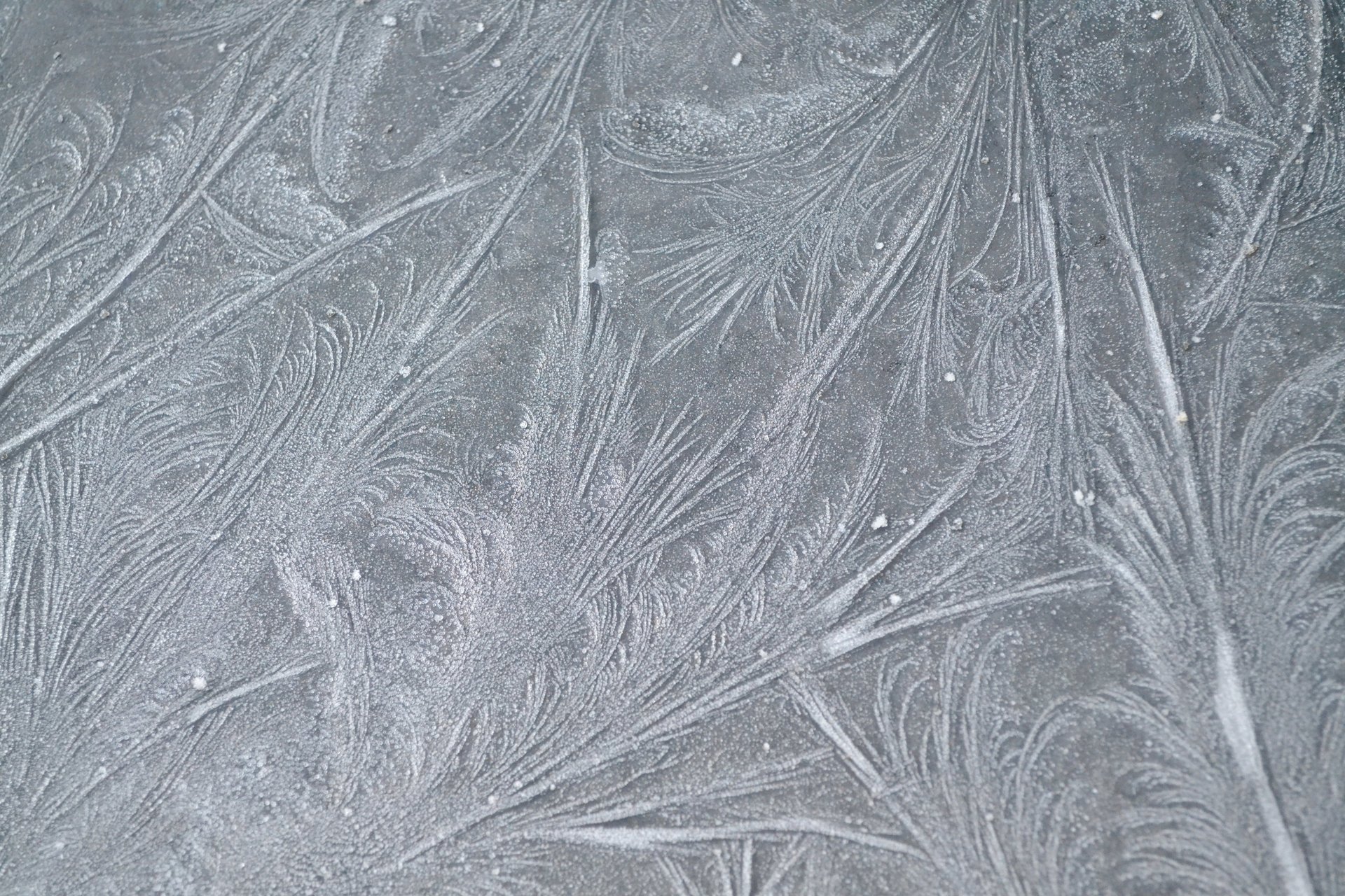 frost textur muster linien frost