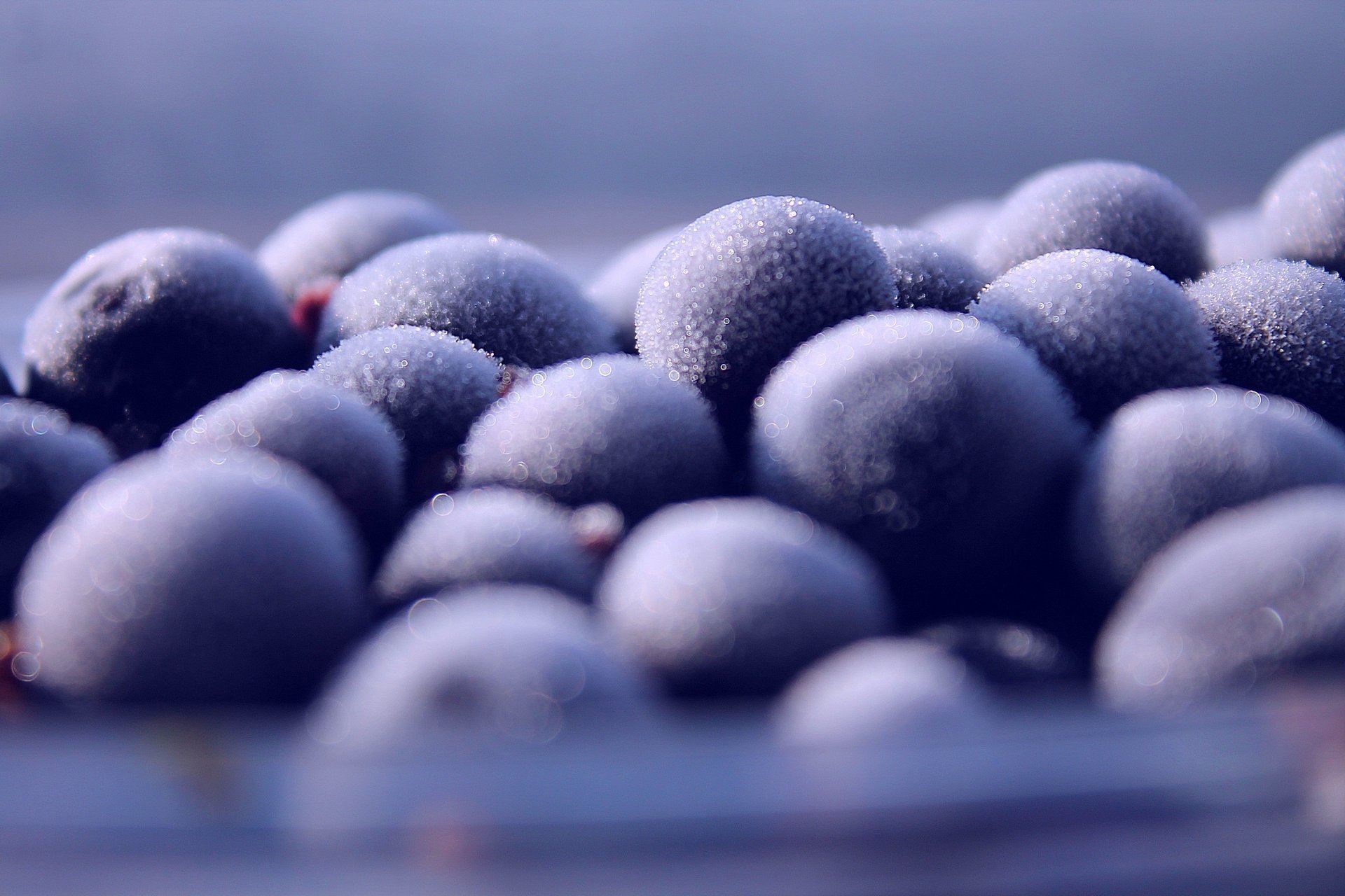 berries currants frost