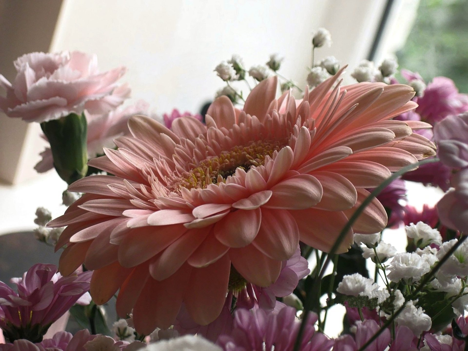 flores ramo gerbera rosa