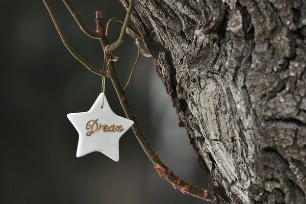 Giocattolo di Natale a forma di stella sull albero