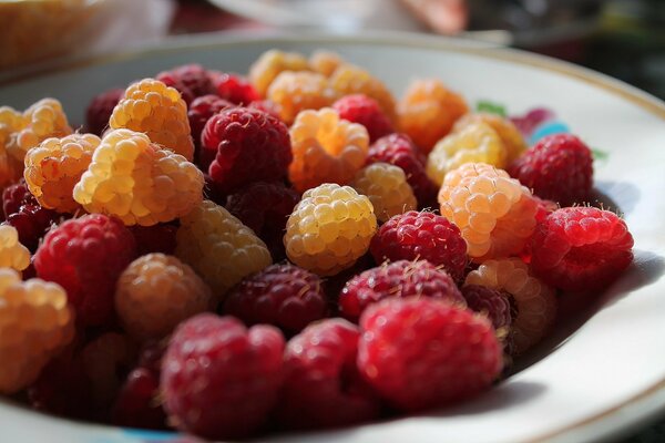 Rote gelbe und burgunderrote Himbeeren auf einem Teller