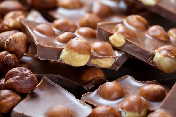 Milk chocolate with hazelnuts for dessert