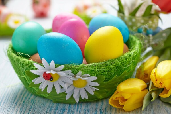 Oeufs pamhalny dans un panier à côté des tulipes