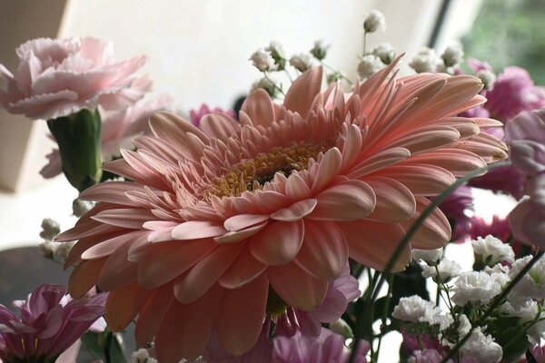 Delicata gerbera in un bouquet di garofani