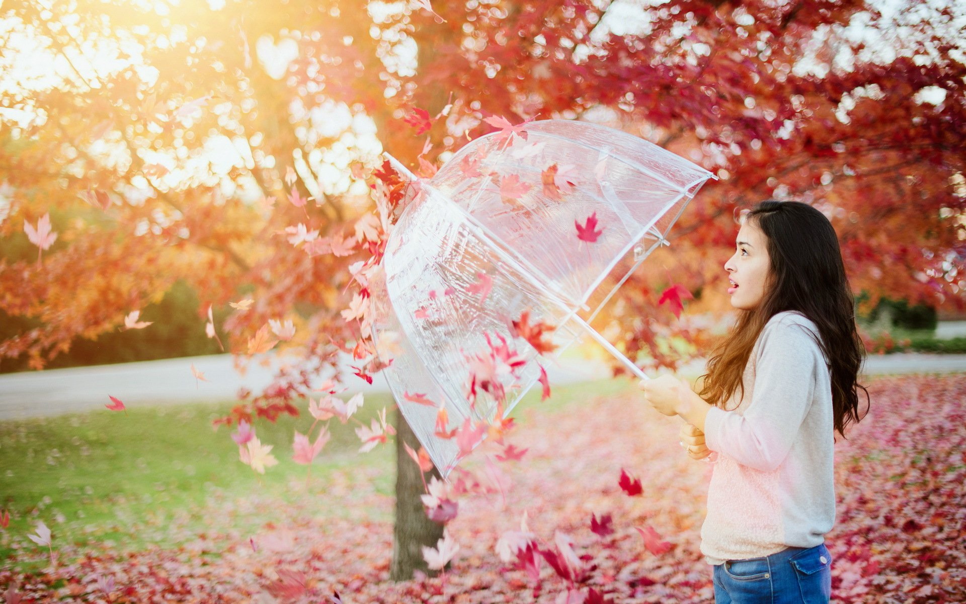 attack of autumn girl autumn