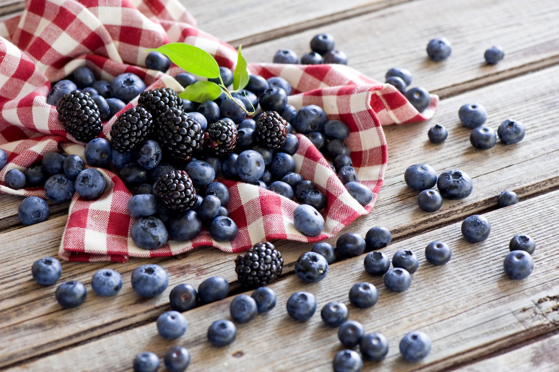 bayas anna verdina moras verano arándanos mesa servilleta