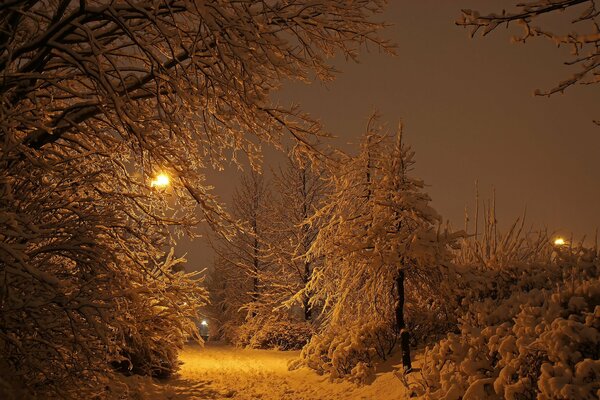 Parque de invierno en una noche de nieve en Reykjavik