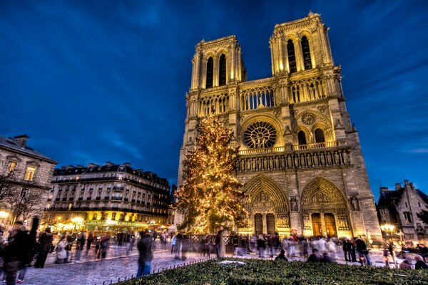 Cattedrale di Natale di notte con albero di Natale decorato