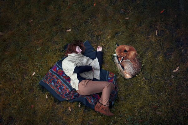 A girl and a fox on the grass