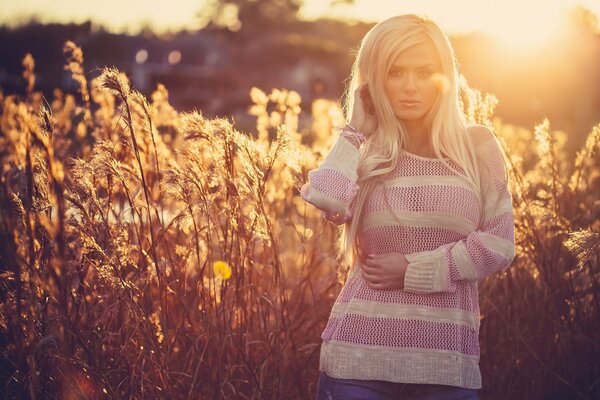 Die Blondine in einem weiß-rosa gestreiften Sweatshirt steht vor dem Hintergrund des hohen Grases und der Sonnenuntergang