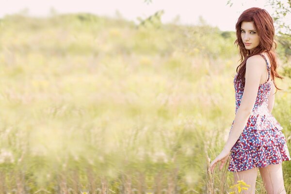 A girl in a dress poses against the background of a field