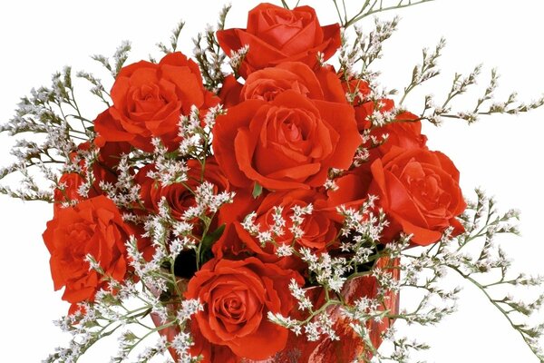 Bouquet of red roses with small white flowers on twigs