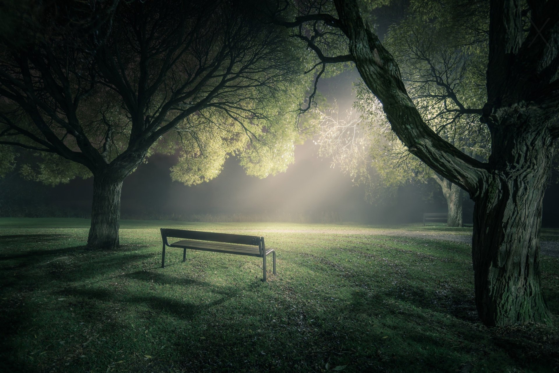 parco nebbia luce alberi panchina