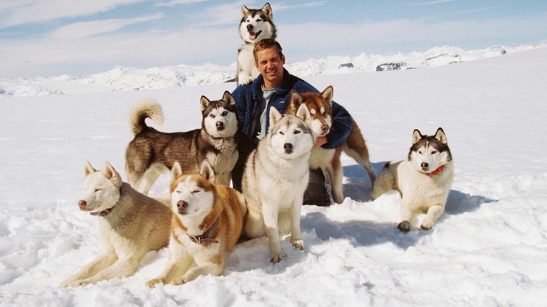 shorty eight below white captive jack maya paul walker max