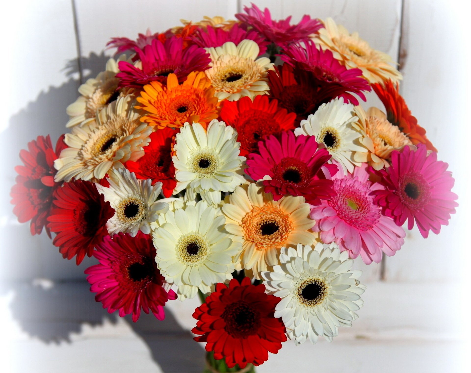 gerberas flor ramo hermoso flores