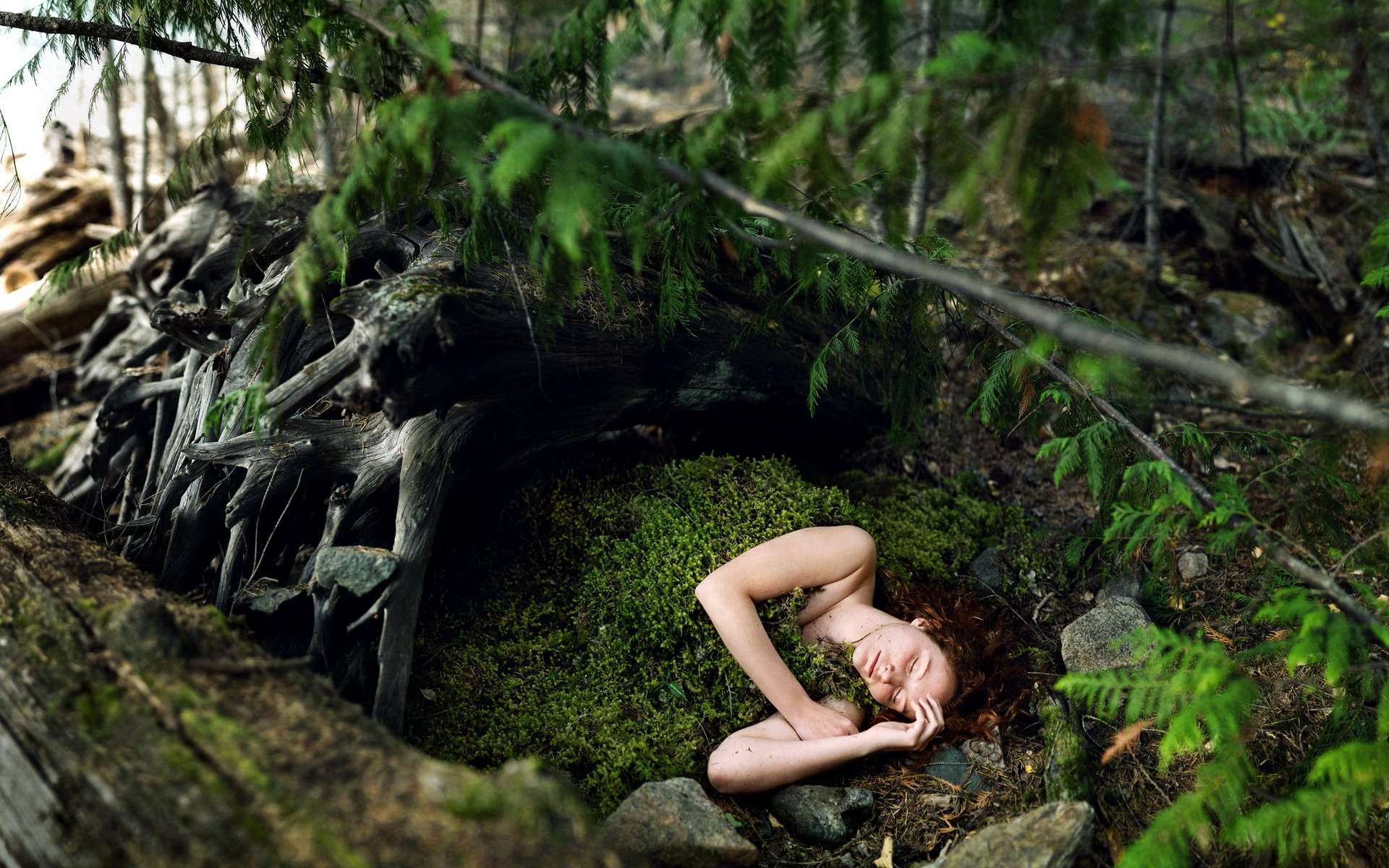 ragazza foresta muschio situazione