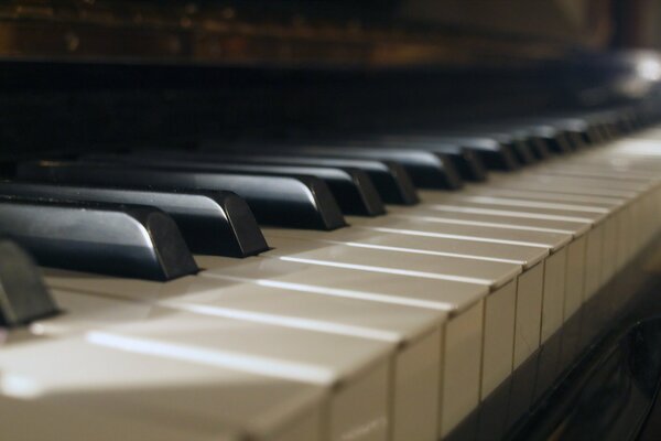 Black and white piano keys in macro shooting