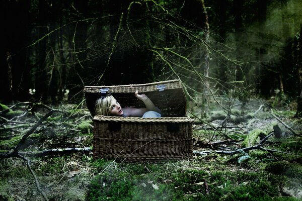 The girl in the basket in the forest situation