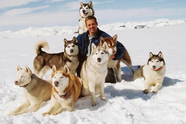 Paul Walker con una manada de perros