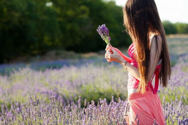 Lavender color in the hands of a bright brunette