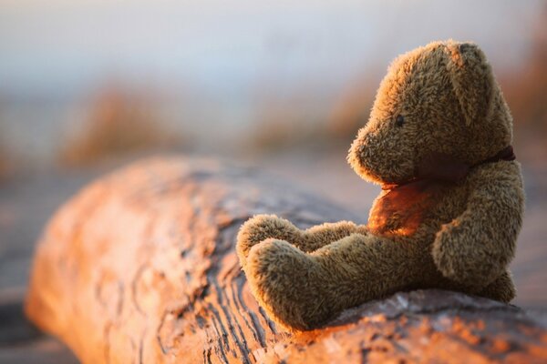 Toy bear on a log on the river bank