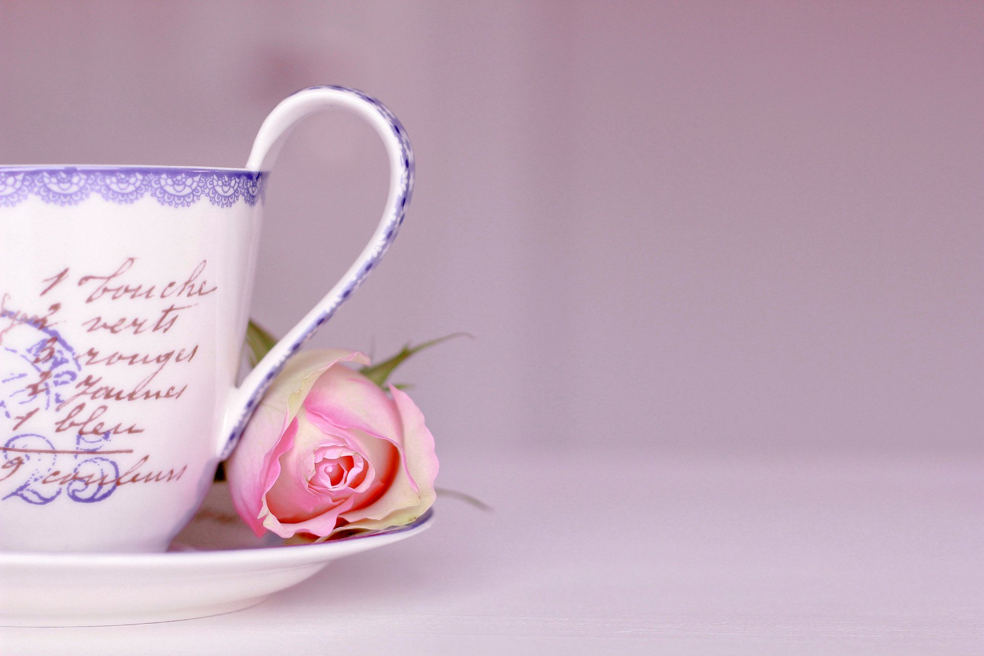 tasse rose mots rose soucoupe fond fleur lettrage