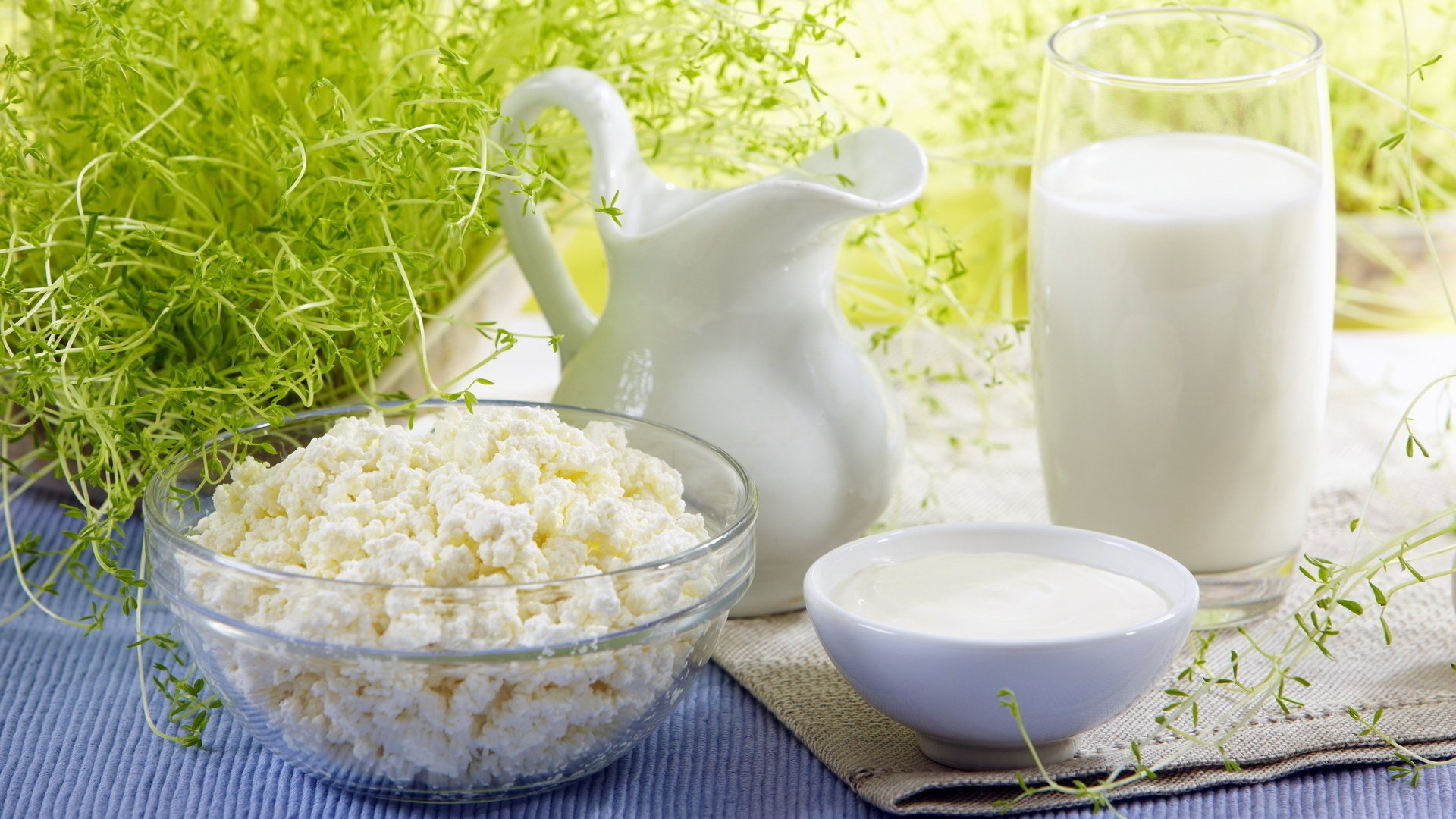 sommer hüttenkäse milch saure sahne krug