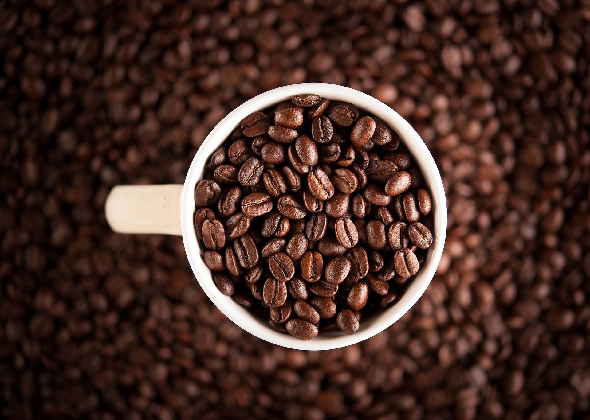 grain macro coffee focus white blur cup