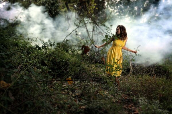 Fille dans la brume magique de la forêt