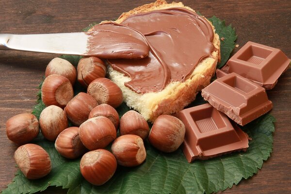 Maravilloso Desayuno de chocolate a él las avellanas y las fuerzas de carga