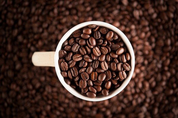 Coffee beans on a white cup with a blurred focus