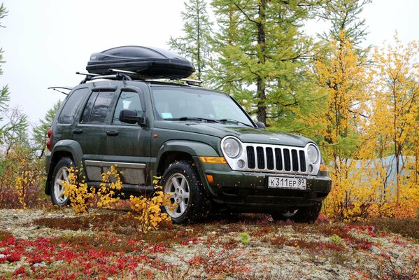 SUV jeep photographed in the forest