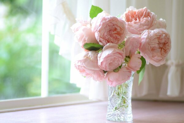 Boutons roses dans un vase sur le rebord de la fenêtre