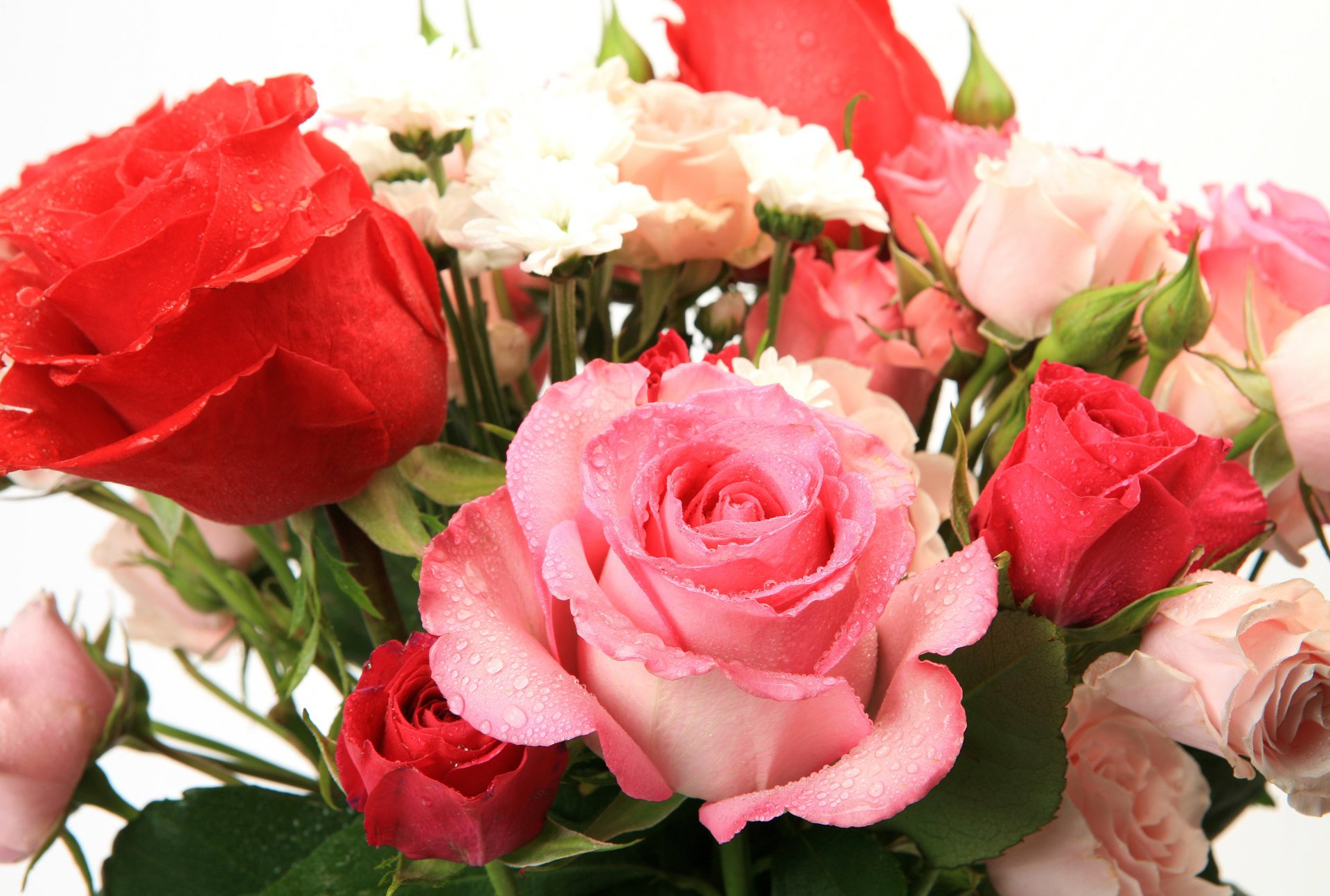 bouquet de roses bouquet de roses fleurs belle flowers beautiful