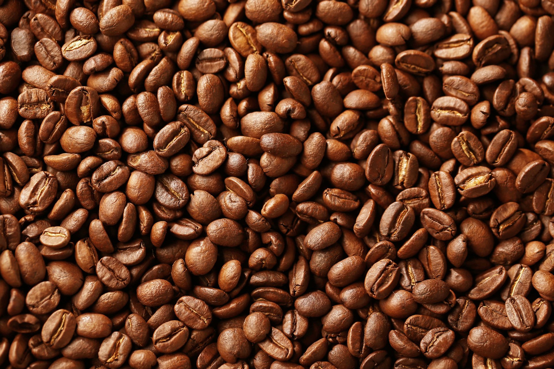 coffee grain texture macro brown