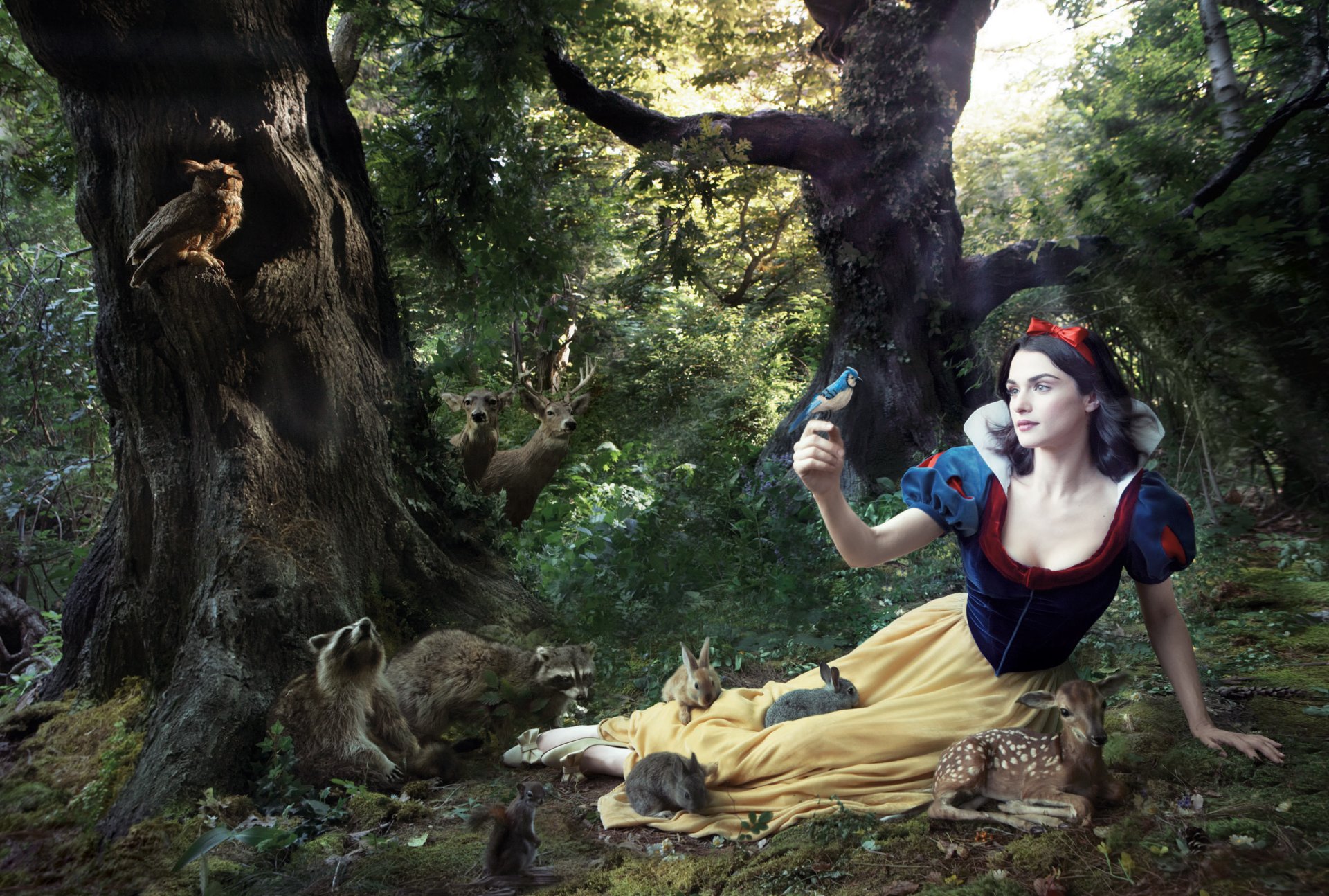 rachel Weisz Rachel Weisz Snow White Snow White and the Seven Dwarfs fairy tale