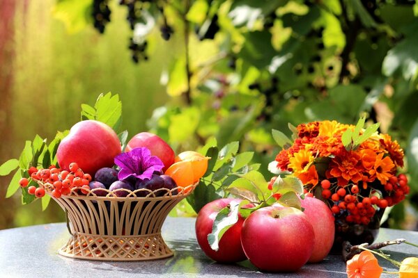 Herbst-Stillleben mit Äpfeln und Eberesche