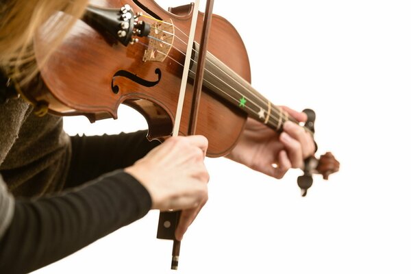 Mains de la jeune fille et violon sur fond blanc