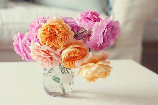 Multicolored roses in a glass jar