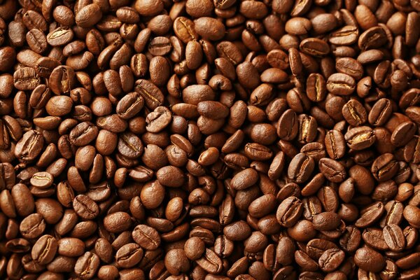 Textured, voluminous coffee beans