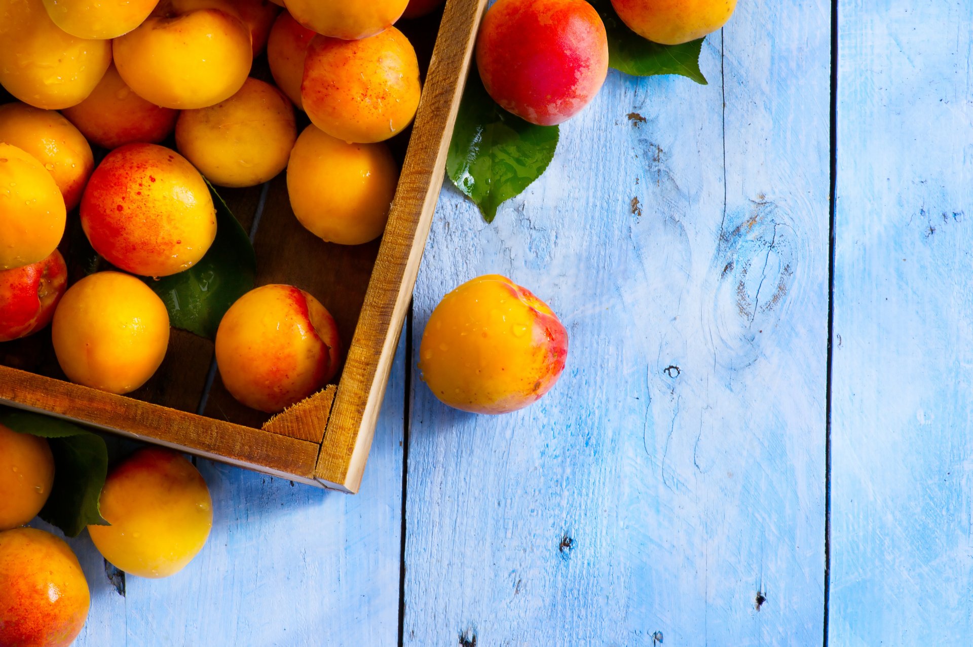 albaricoques fruta comida caja cajón escritorio