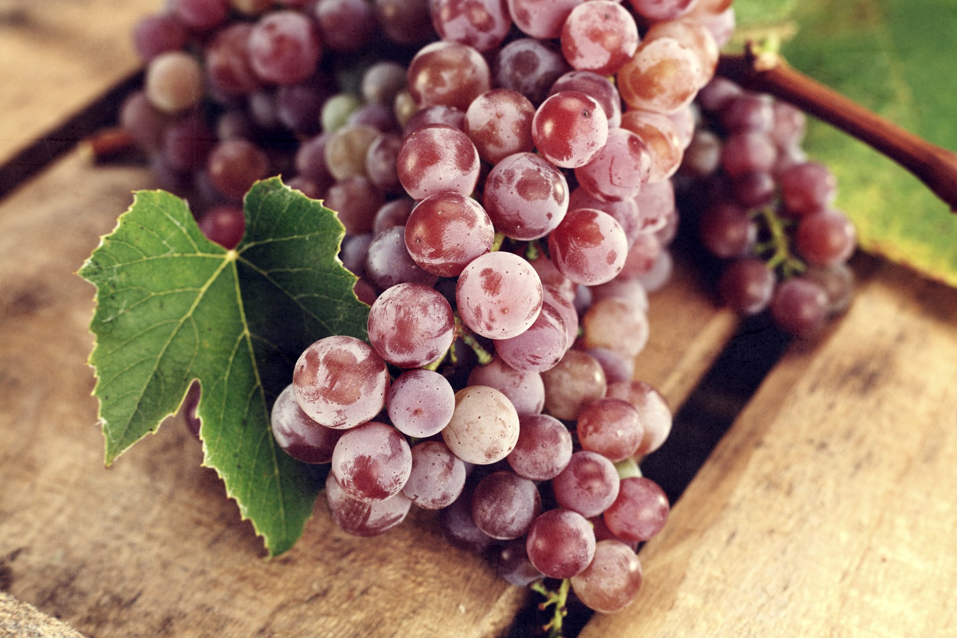 grapes red clusters berries leave