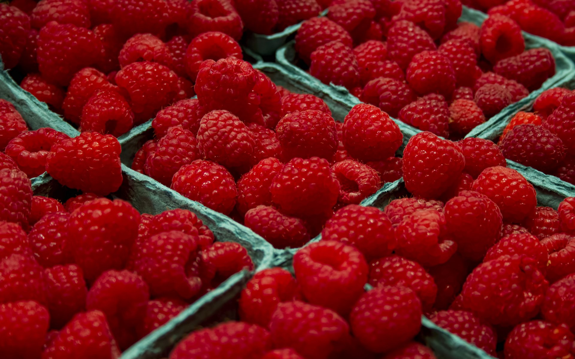 baies framboises gros plan