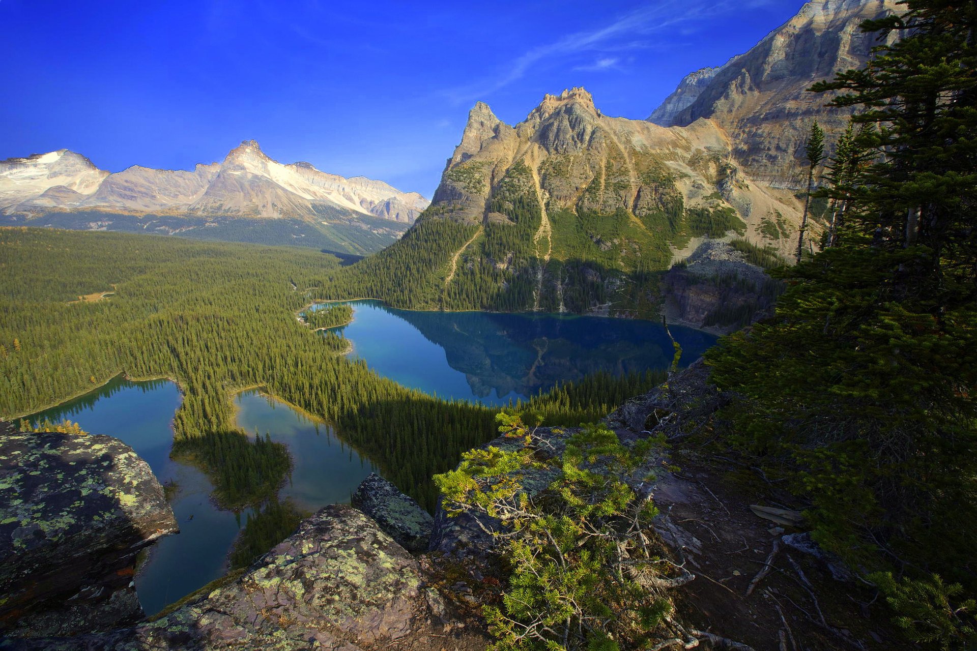 nature mountains forest lake